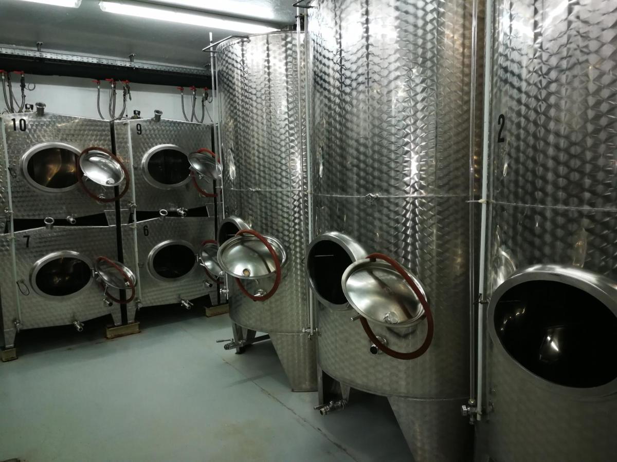 Winzerhof Brachtendorf Alken Ngoại thất bức ảnh