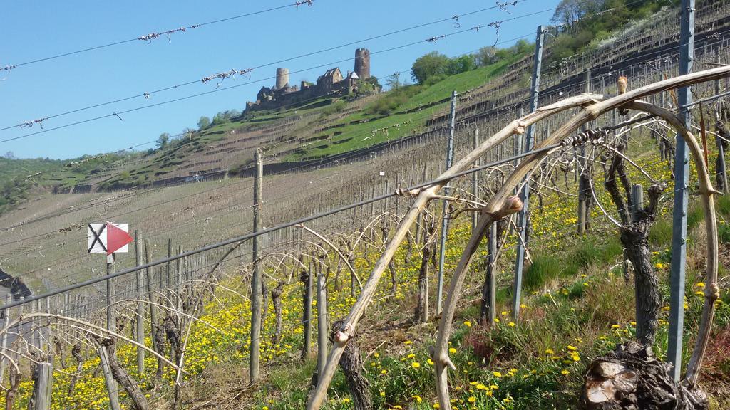 Winzerhof Brachtendorf Alken Ngoại thất bức ảnh
