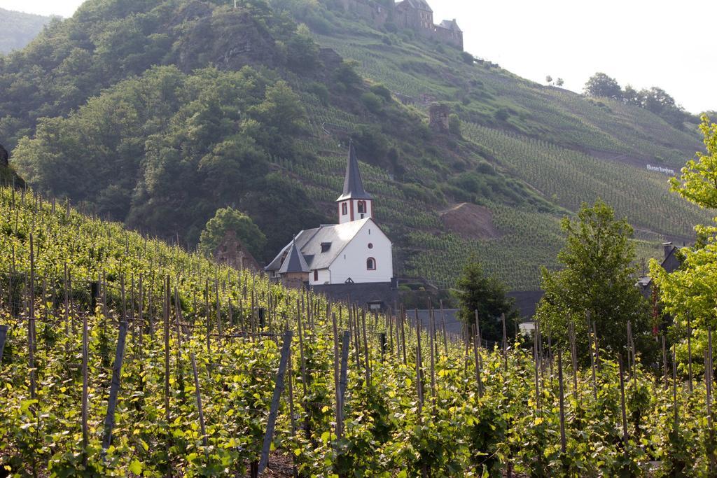 Winzerhof Brachtendorf Alken Ngoại thất bức ảnh