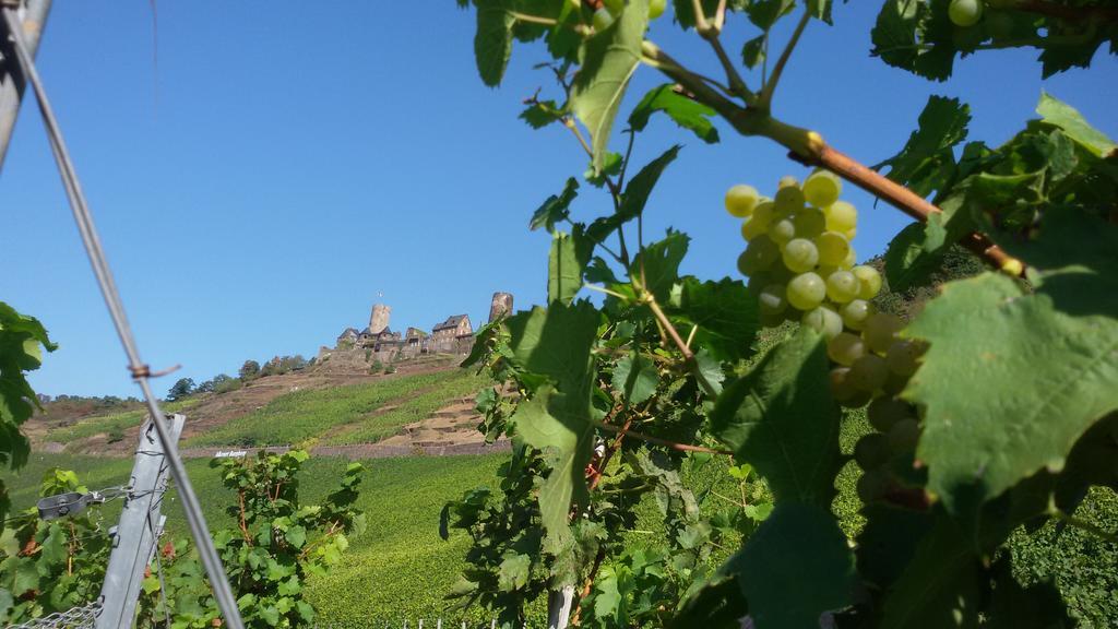 Winzerhof Brachtendorf Alken Ngoại thất bức ảnh